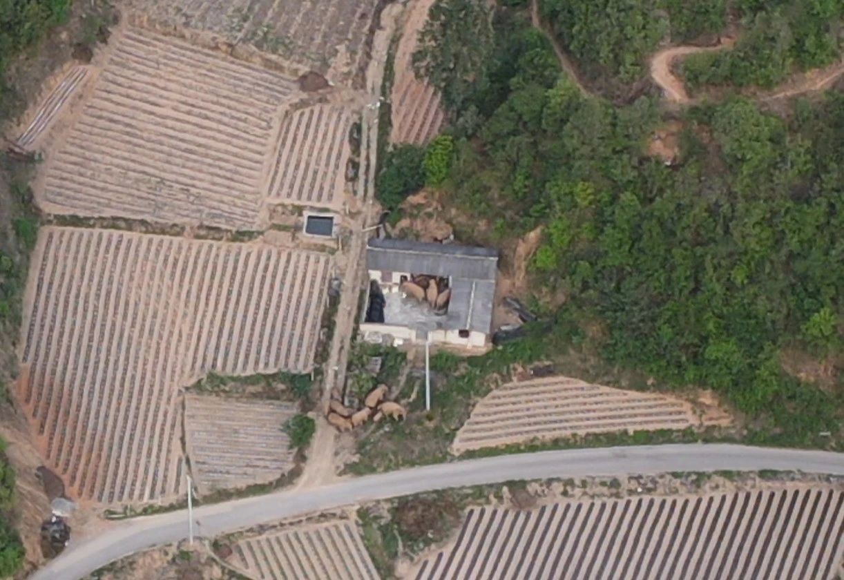 &#26131;&#28216;&#40;&#20013;&#22269;&#41;&#121;&#105;&#121;&#111;&#117;